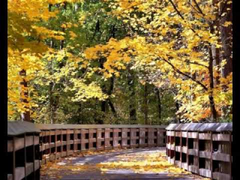 Nusret Shiti  Rëndësia e Leximit