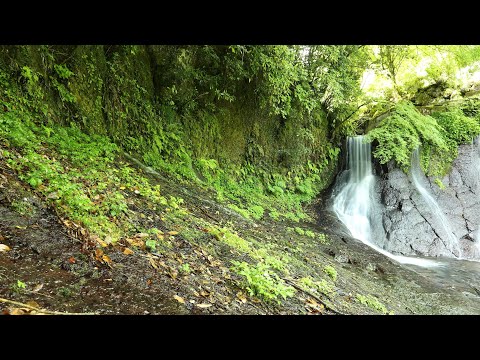 新阿蘇紀行（10.舟の口水源）