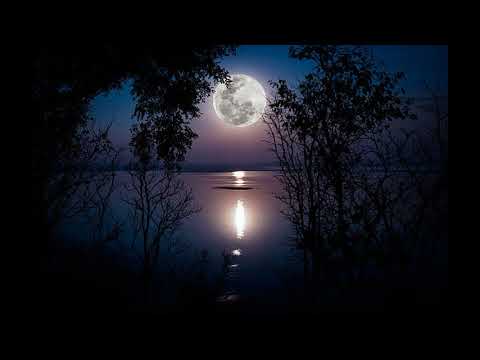 Junom │ Melobars  (Bashan Remix)