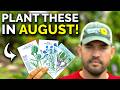 8 Crops You Can STILL Plant in August RIGHT NOW!