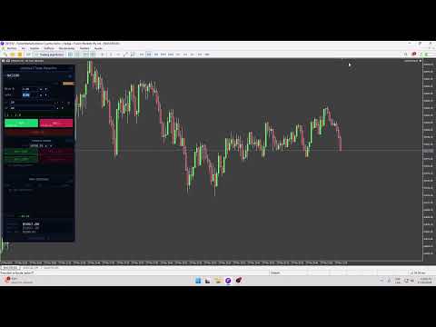 Video LiqStrike Trade Panel Pro