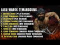 HQ AUDIO LAGU WAROK TEMANGGUNG TERBARU 2024
