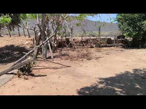 Fazenda mamão, segunda parte! HIDROLÂNDIA CEARÁ 