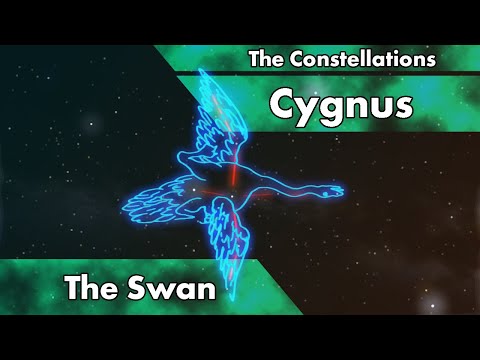 The Constellations - Cygnus