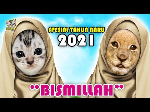 KUCING LUCU DAN SINGA SHOLAWAT BISMILLAH TAWASSALNA BILLAH || Kitty Kucing Lucu