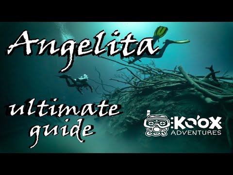 Cenote Angelita: everything you need to know | Tulum, Mexico