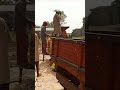 Process For Maize Shelling Africanvillage Livestockfarming Farmer