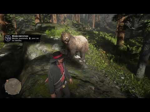 Steam Community :: Video :: Red Dead Redemption 2 the bear