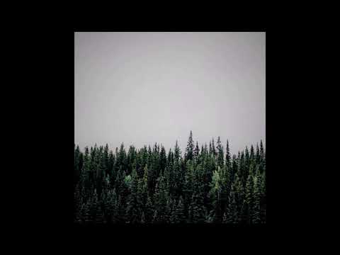 Stoilku - Explorations