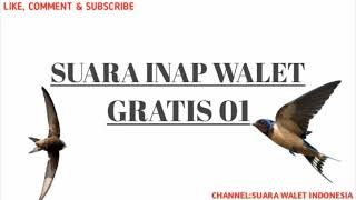 Download lagu Inap 7 bulan 1 kilo mp3