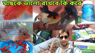 Serampore Fish Haat | Shrirampur Pet Haat | Shrirampur Fish Market | Aquarium Fish Accessories 