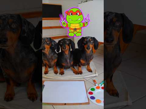 Como pintar una Tortuga 🐢🫟🎨 #perrosalchicha