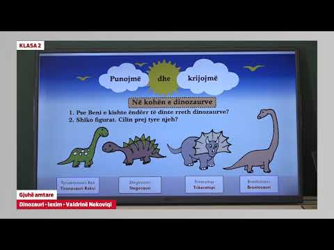 e Mesimi Klasa 2 - 2147 Gjuhë amtare - Dinozauri - lexim