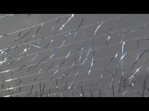 Free Public Domain  Footage   2009 Nature Series  18 of 33