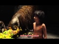 El Libro De La Selva Disney Trailer Oficial Español 2016