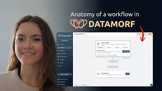 Anatomy of a workflow in Datamorf.io