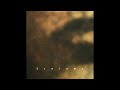 Traluma - "Chicago Defender"