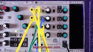 Video thumbnail for Mutable Instruments Edges Quad Chiptune Audio Generator by bigcitymusic