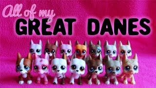 All of My LPS Great Danes! + Extra Features