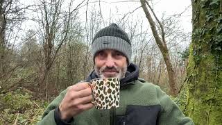 Saturday Ascension Update – Distraction, Entities, and the Divine Masculine.