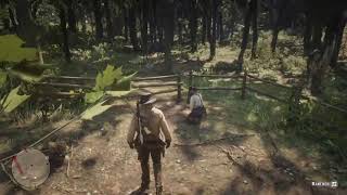 Red Dead Relaxation: How To Rob A House Without Killing Anyone.
