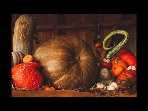 Soja desplome Chicago