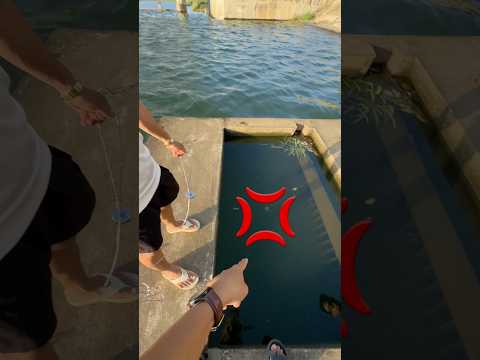 Rớt nhẫn xuống sông rồi a2 🤣