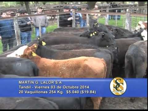 Martin G. Lalor S.A. - Venta Invernada - Tandil - 03/10/2014