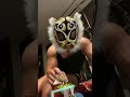 モフモフとムキムキの激しさと癒しさと