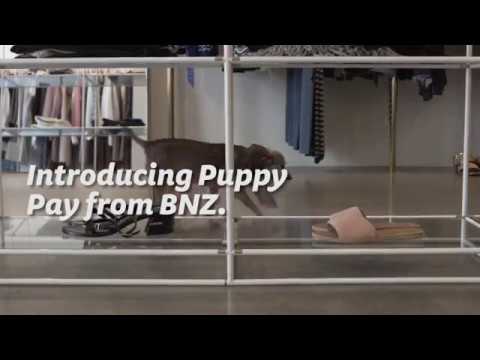 Introducing Puppy Pay - a first from BNZ