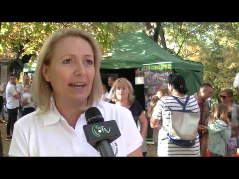 CoolToura - GyömrőTök 2018