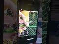 Oobi Watch Uma Swing Video A YouTube