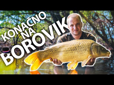 Ribolov u srcu Slavonije