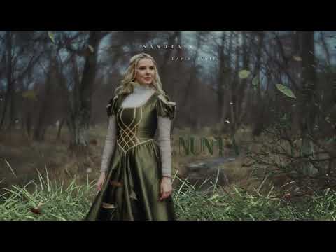 Sandra N feat. David Ciente - Nunta | 1 Hour