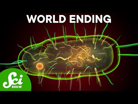 Mirror Bacteria Could Destroy All Life As We Know It