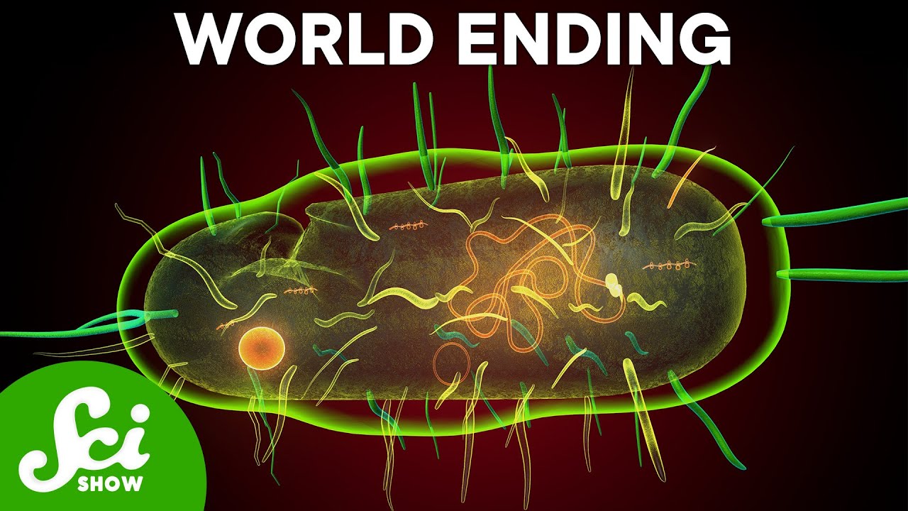 Mirror Bacteria Could Destroy All Life As We Know It