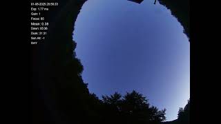 All sky camera capture from Teliucu Superior, Romania 2025-08-01