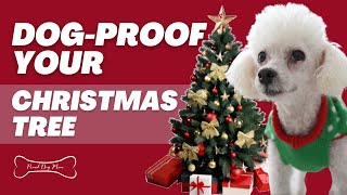 8 Tips to Dog-Proof Your Christmas Tree | Proud Dog Mom