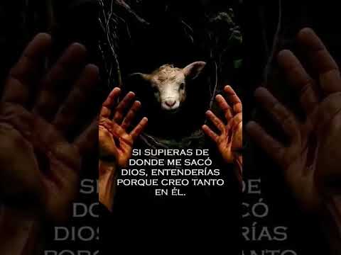 Dios me rescato #oveja #dios #amor #heridas #reflexion