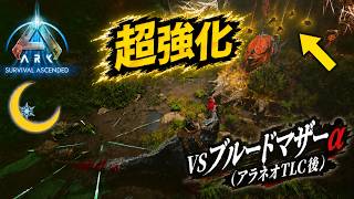 #19【ASA】vsブルードマザー(α)アルファ 2026年アラネオ強化後のTLC対応版と2024年版！【PC版公式PVE：ARK: Survival Ascended】