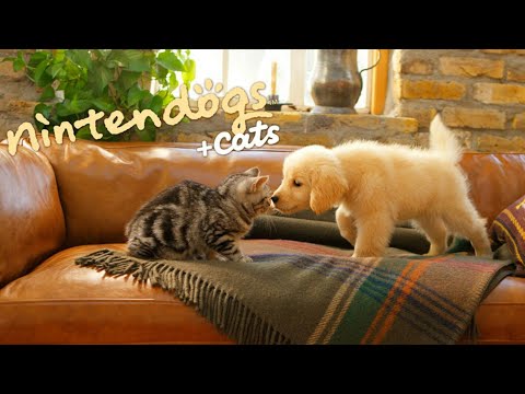 Nintendogs + cats cheat deutsch