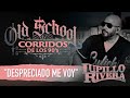 DESPRECIADO - Lupillo Rivera | Old School Corridos de los 90's