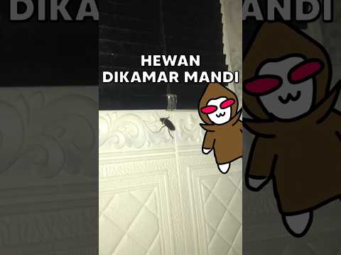Hewan Di Kamar Mandi Tier List