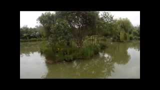 preview picture of video 'Thorney Lakes Muchelney.mp4'