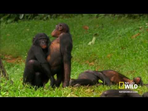 SeyitLabaloba249’s Video 145886482357 r79OHqp7kiY