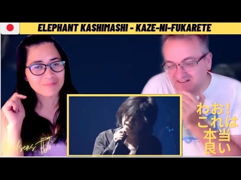 Elephant Kashimashi - kaze-ni-fukarete - 🇩🇰NielsensTV FIRST TIME REACTION💕