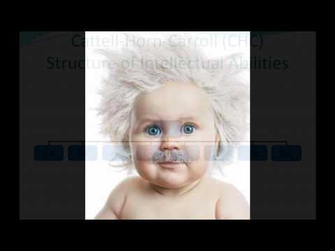 Stanford Binet 5 Presentation Sample