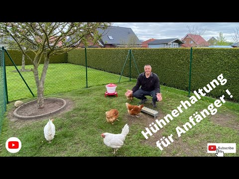 Hühnerhaltung für Anfänger ! Nutztierhaltung im eigenen Garten
