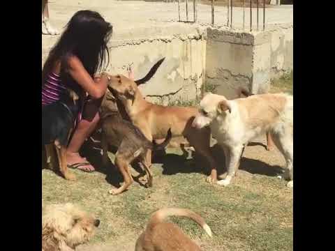 Our Sanctuary is ALL ABOUT LOVE AND CUDDLES