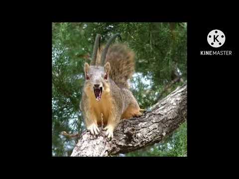 Squirrel Monster (SpongeBob SquarePants Franchise; 1997–2009) roar sfx